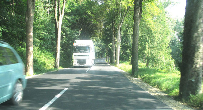 Sécurité routière : vers la fin des arbres le long des routes