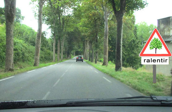 http://www.securite-routiere-plus.com/medias/images/arbres-ralentir-1.jpg