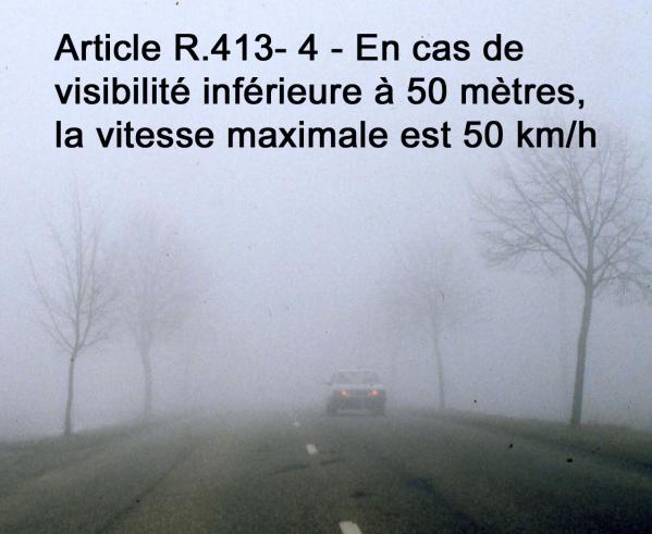 Brouillard arbres 1 cadre haut texte 2