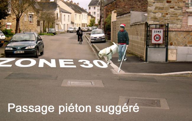 Suggere zone 30 chien